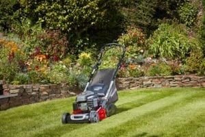 self propelled roller mowers