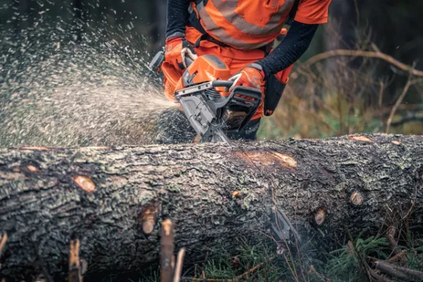 HUSQVARNA 592 XP®FORESTRY CHAINSAW 28" BAR LENGTH - Image 2